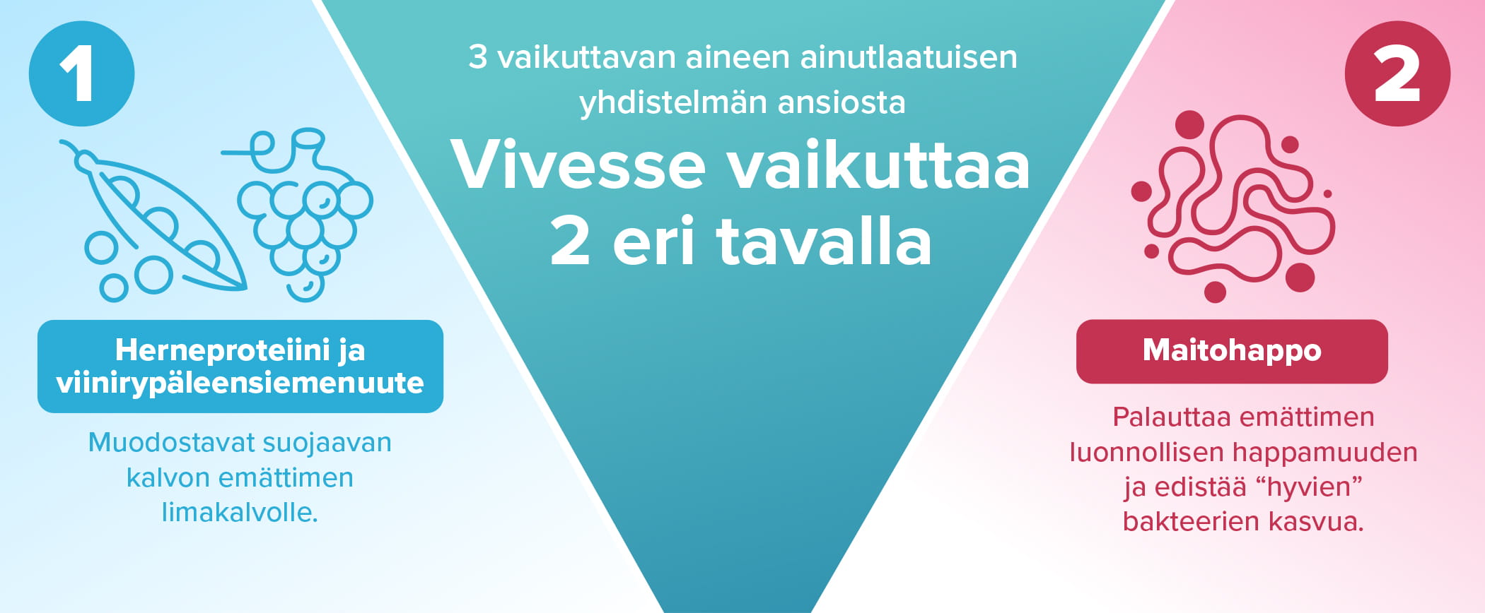 3 vaikuttavan aineen ainutlaatuisen yhdistelmän ansiosta, Vivesse vaikuttaa 2 eri tavalla.